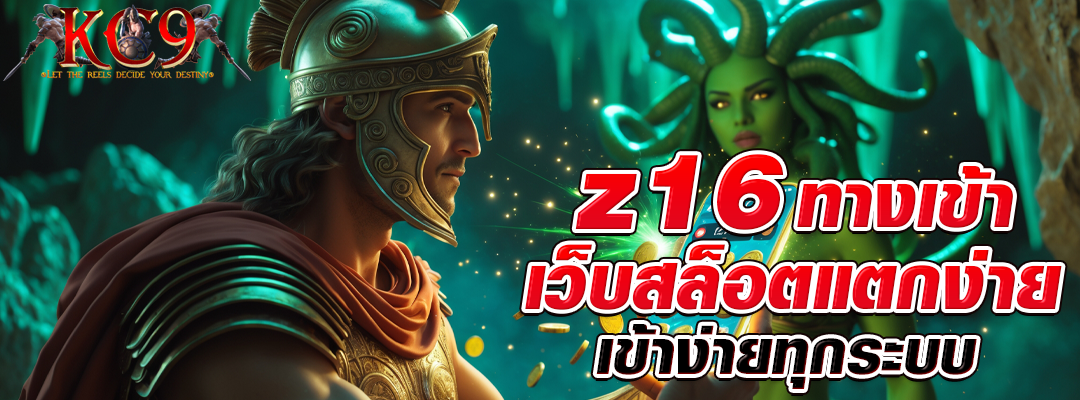 z16 ทางเข้า